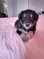 processed/55c2a628-7fcf-4955-94e6-299424d32a83/listing/8be1a15c-c42f-49b0-ba30-9e418af50430/53709dae-a508-4c24-9c06-bbd16396613a