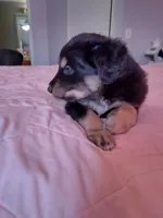 processed/55c2a628-7fcf-4955-94e6-299424d32a83/listing/8be1a15c-c42f-49b0-ba30-9e418af50430/7aacf946-f9c3-45e2-9584-4fe9fd418b53