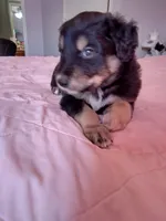 processed/55c2a628-7fcf-4955-94e6-299424d32a83/listing/8be1a15c-c42f-49b0-ba30-9e418af50430/d8e7a172-7a7c-411a-a3a5-20e1e12e21ac