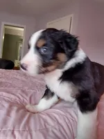 processed/55c2a628-7fcf-4955-94e6-299424d32a83/listing/8d214c4c-dd82-40b2-88f3-5cd1a3b534d3/02ffd1c3-6143-4fb4-ac77-6d9b284722cf