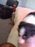 processed/55c2a628-7fcf-4955-94e6-299424d32a83/listing/8d214c4c-dd82-40b2-88f3-5cd1a3b534d3/556b4313-2963-4094-bf32-91b40f5c3057