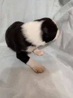 processed/55c2a628-7fcf-4955-94e6-299424d32a83/listing/8d214c4c-dd82-40b2-88f3-5cd1a3b534d3/63fbc5e0-7931-43b9-ab82-9cdaca072436