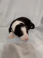 processed/55c2a628-7fcf-4955-94e6-299424d32a83/listing/8d214c4c-dd82-40b2-88f3-5cd1a3b534d3/b65e78e1-e82c-4cd3-9db3-3cd6e97a13d3