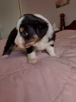 processed/55c2a628-7fcf-4955-94e6-299424d32a83/listing/8d214c4c-dd82-40b2-88f3-5cd1a3b534d3/ede5016b-0963-40bb-a139-3979f10ddb13