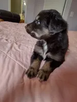 processed/55c2a628-7fcf-4955-94e6-299424d32a83/listing/b038d0a7-32da-40dc-88b2-4adb2de3e16f/0d024554-73f5-4cee-bb65-22380c163f4e