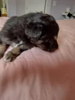 processed/55c2a628-7fcf-4955-94e6-299424d32a83/listing/b038d0a7-32da-40dc-88b2-4adb2de3e16f/a76ff43f-067e-4718-97fb-da438a28b7b3