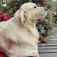 processed/55c76c73-326e-4ef0-9958-4f4cdab377da/facility/4d9dc6e1-7e94-4a91-84ce-398a87f96a04