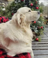 processed/55c76c73-326e-4ef0-9958-4f4cdab377da/facility/4d9dc6e1-7e94-4a91-84ce-398a87f96a04