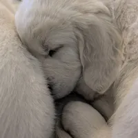 processed/55c76c73-326e-4ef0-9958-4f4cdab377da/facility/599a71de-4bbe-4a7c-919b-b0f6939e17ca