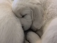 processed/55c76c73-326e-4ef0-9958-4f4cdab377da/facility/599a71de-4bbe-4a7c-919b-b0f6939e17ca