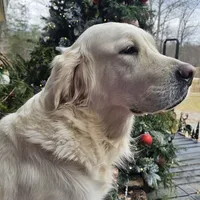 processed/55c76c73-326e-4ef0-9958-4f4cdab377da/facility/6c98b2b7-5757-4e4e-836f-048defe2f70f