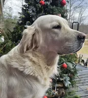 processed/55c76c73-326e-4ef0-9958-4f4cdab377da/facility/6c98b2b7-5757-4e4e-836f-048defe2f70f