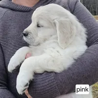 processed/55c76c73-326e-4ef0-9958-4f4cdab377da/facility/7016c7e9-3822-4324-8d01-eecb2ca62b68