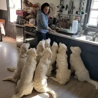 processed/55c76c73-326e-4ef0-9958-4f4cdab377da/facility/77101ebd-c8f0-46a7-8b2d-ad2d34c91c12