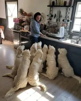 processed/55c76c73-326e-4ef0-9958-4f4cdab377da/facility/77101ebd-c8f0-46a7-8b2d-ad2d34c91c12