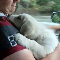 processed/55c76c73-326e-4ef0-9958-4f4cdab377da/facility/79689f22-a45c-4e7f-908c-64e37aacef9e