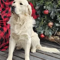 processed/55c76c73-326e-4ef0-9958-4f4cdab377da/facility/838fd7b6-3c5a-49f3-b9fa-06a1547ffe0c