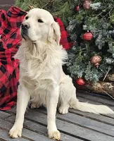 processed/55c76c73-326e-4ef0-9958-4f4cdab377da/facility/838fd7b6-3c5a-49f3-b9fa-06a1547ffe0c