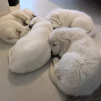 processed/55c76c73-326e-4ef0-9958-4f4cdab377da/facility/dfe9a95a-9361-4cfe-bd4c-6814fdddb33e