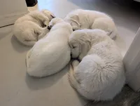 processed/55c76c73-326e-4ef0-9958-4f4cdab377da/facility/dfe9a95a-9361-4cfe-bd4c-6814fdddb33e