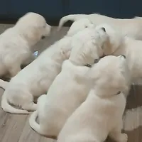 processed/55c76c73-326e-4ef0-9958-4f4cdab377da/facility/f733e28d-f2a1-4a63-b575-7669d641d015