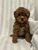 processed/55c7a997-a369-4e81-89c2-d205bfaab946/listing/ba6524a2-ef7e-4836-a498-71c1df56756d/a4cffac2-381e-46a0-b5ca-4e36aa21c151