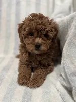 processed/55c7a997-a369-4e81-89c2-d205bfaab946/listing/ba6524a2-ef7e-4836-a498-71c1df56756d/c299d6b1-e799-4e1e-8ec1-0f35a1a15ff4