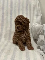 processed/55c7a997-a369-4e81-89c2-d205bfaab946/listing/ba6524a2-ef7e-4836-a498-71c1df56756d/d8dbf833-dddf-4d84-a3f2-470657ddbca4