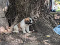 processed/55d6ef87-ac88-4b9c-9683-529ca0d7cef0/facility/11f24edf-7716-456e-adeb-e013d533622d