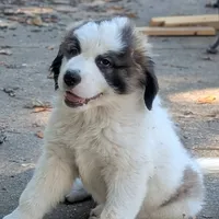 processed/55d6ef87-ac88-4b9c-9683-529ca0d7cef0/facility/43dd28f0-d343-44df-a622-eb6d1a8a4ea6