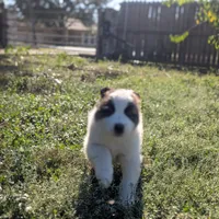 processed/55d6ef87-ac88-4b9c-9683-529ca0d7cef0/facility/4b8eedaa-ee39-4b52-887c-d6dbf60922f1