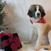 processed/55d6ef87-ac88-4b9c-9683-529ca0d7cef0/facility/4cf87083-e195-44cc-9fc7-6bb58cb607be