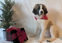 processed/55d6ef87-ac88-4b9c-9683-529ca0d7cef0/facility/4cf87083-e195-44cc-9fc7-6bb58cb607be