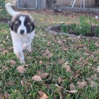 processed/55d6ef87-ac88-4b9c-9683-529ca0d7cef0/facility/6366167f-99f2-45a0-8de0-eba939758cfd