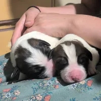 processed/55d6ef87-ac88-4b9c-9683-529ca0d7cef0/facility/7ff2fb9e-25bd-4d9f-88fe-346ca596c1c2