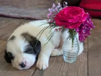 processed/55d6ef87-ac88-4b9c-9683-529ca0d7cef0/facility/a0d0bce4-3fd4-4e2f-89ec-45a4d01a2e46