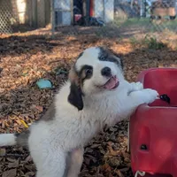 processed/55d6ef87-ac88-4b9c-9683-529ca0d7cef0/facility/d745f9d8-b2b6-4a18-ae58-a7bd02c538af