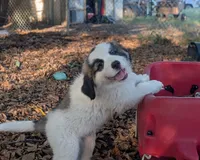 processed/55d6ef87-ac88-4b9c-9683-529ca0d7cef0/facility/d745f9d8-b2b6-4a18-ae58-a7bd02c538af