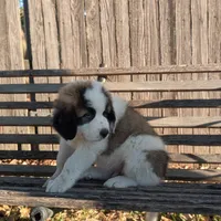 processed/55d6ef87-ac88-4b9c-9683-529ca0d7cef0/facility/ea5a0b00-2f3d-4bce-99b0-9adec4a61ebc