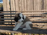 processed/55d6ef87-ac88-4b9c-9683-529ca0d7cef0/facility/ea5a0b00-2f3d-4bce-99b0-9adec4a61ebc