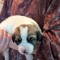 processed/55d6ef87-ac88-4b9c-9683-529ca0d7cef0/facility/fb1f17b1-98a6-497e-96ed-48b10041f94f