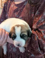 processed/55d6ef87-ac88-4b9c-9683-529ca0d7cef0/facility/fb1f17b1-98a6-497e-96ed-48b10041f94f