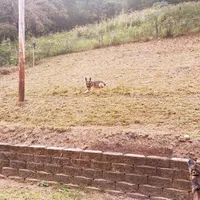 processed/55dc6cef-77fb-466c-b330-e6829afe568c/facility/5947245b-47a0-4cdb-8c41-cafee378ded7