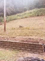 processed/55dc6cef-77fb-466c-b330-e6829afe568c/facility/5947245b-47a0-4cdb-8c41-cafee378ded7