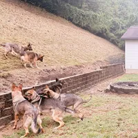 processed/55dc6cef-77fb-466c-b330-e6829afe568c/facility/602a8850-ff74-4434-a2c5-08f99452ebd7