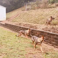 processed/55dc6cef-77fb-466c-b330-e6829afe568c/facility/6ecdd1d7-2541-4d5e-a2a9-dab51d8025cd