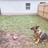 processed/55dc6cef-77fb-466c-b330-e6829afe568c/facility/8cbe5d03-498a-4e37-a5a2-97396c308245