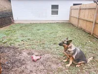 processed/55dc6cef-77fb-466c-b330-e6829afe568c/facility/8cbe5d03-498a-4e37-a5a2-97396c308245