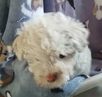 processed/55df53ee-785a-4a21-ab86-83ead5609455/listing/315d2b2b-0043-44c8-8baf-a096844570eb/6f72dfcc-41ab-46fa-9721-f11c4c8c2c40