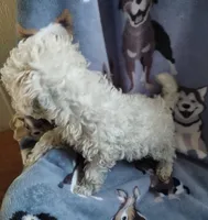 processed/55df53ee-785a-4a21-ab86-83ead5609455/listing/315d2b2b-0043-44c8-8baf-a096844570eb/864b4cc1-87f9-47c1-b50b-6bf3e5e6a4b8